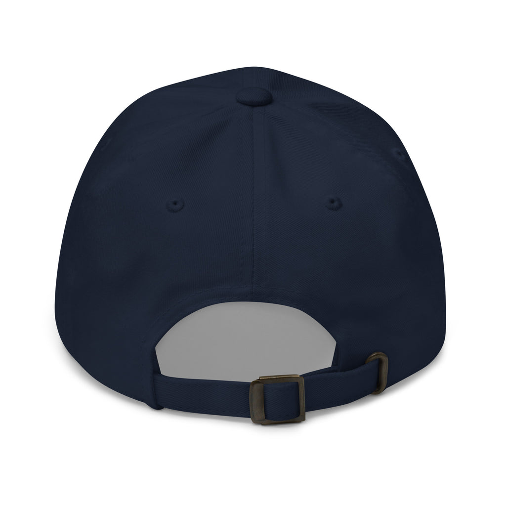 Future Forward Friday Hat in Navy, back view